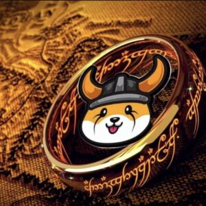 Floki Inu Coin Price Prediction: 2025-2030 Outlook and Market Trends