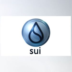 Should You Invest in Sui Coin? Pros, Cons & Expert Opinions (2025)