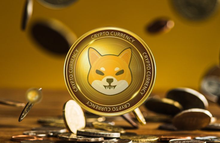Shiba Inu Coin Investment Guide: Key Insights for 2025 | CoinPeak Hub