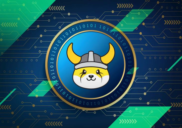 Floki Inu Coin Price Prediction: 2025-2030 Outlook and Market Trends